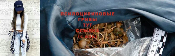 амф Алзамай