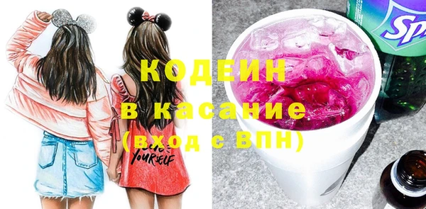шишки Аркадак