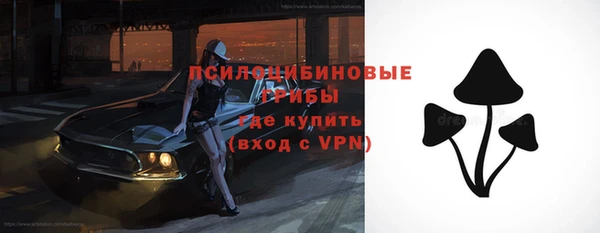 амф Алексин