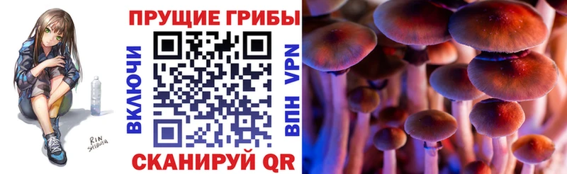 Галлюциногенные грибы GOLDEN TEACHER  Купить закладки  Урус-Мартан 