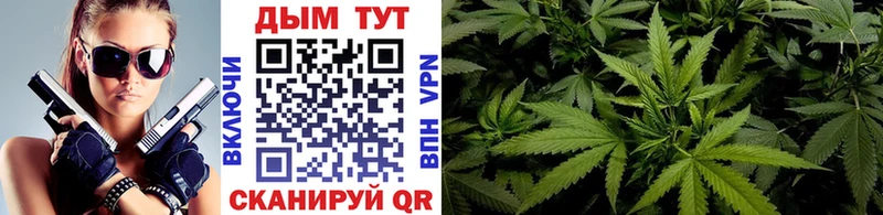 Купить где  Урус-Мартан  Конопля White Widow 